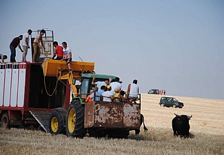 Esquivando al Toro