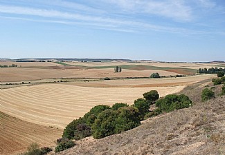 Vista desde el punto geodsico de Roales